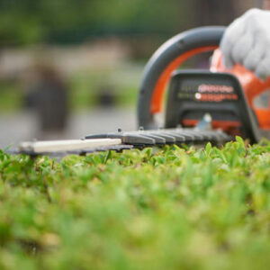 Hedge Trimmers