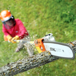 Pole Pruners