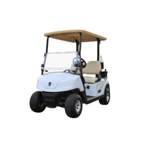 Leroad L2 105ah Fleet Golf Cart